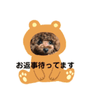 トイプーくるみのスタンプPart4（個別スタンプ：27）