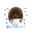 トイプーくるみのスタンプPart4（個別スタンプ：28）