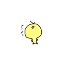 ヒヨコノコ。（個別スタンプ：8）