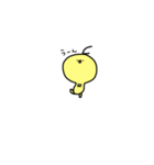 ヒヨコノコ。（個別スタンプ：12）