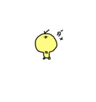 ヒヨコノコ。（個別スタンプ：24）