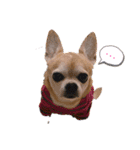 rusf（個別スタンプ：1）