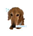 rusf（個別スタンプ：2）