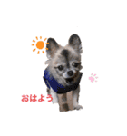 rusf（個別スタンプ：4）