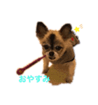 rusf（個別スタンプ：6）