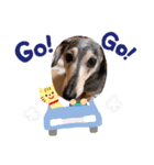 rusf（個別スタンプ：13）