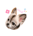rusf（個別スタンプ：16）