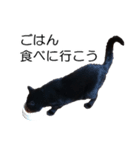 黒猫のコテツ（個別スタンプ：4）