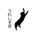 黒猫のコテツ（個別スタンプ：10）