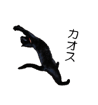 黒猫のコテツ（個別スタンプ：11）