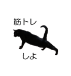 黒猫のコテツ（個別スタンプ：12）