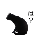 黒猫のコテツ（個別スタンプ：13）