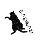 黒猫のコテツ（個別スタンプ：17）