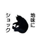 黒猫のコテツ（個別スタンプ：19）