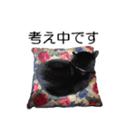 黒猫のコテツ（個別スタンプ：22）