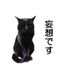 黒猫のコテツ（個別スタンプ：23）
