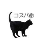 黒猫のコテツ（個別スタンプ：25）