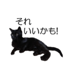 黒猫のコテツ（個別スタンプ：26）