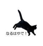黒猫のコテツ（個別スタンプ：27）