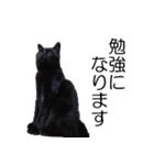 黒猫のコテツ（個別スタンプ：30）