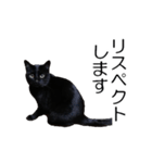 黒猫のコテツ（個別スタンプ：32）