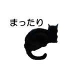 黒猫のコテツ（個別スタンプ：35）