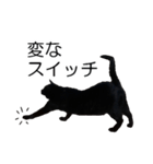 黒猫のコテツ（個別スタンプ：39）