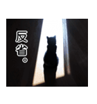 黒猫のコテツ（個別スタンプ：40）