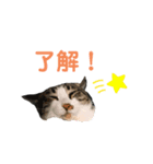 ピピさん（個別スタンプ：2）