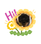 家族で〜す（個別スタンプ：2）