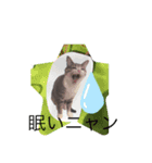 家族で〜す（個別スタンプ：5）