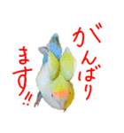 コザクラインコ ピコちゃん（個別スタンプ：19）