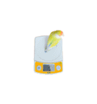 コザクラインコ ピコちゃん（個別スタンプ：25）