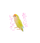 コザクラインコ ピコちゃん（個別スタンプ：28）