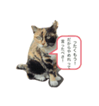 生まれは北海道だべさ（個別スタンプ：6）