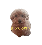 うちのあむのスタンプ1（個別スタンプ：1）