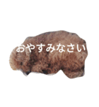 うちのあむのスタンプ1（個別スタンプ：3）