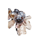 うちのあむのスタンプ1（個別スタンプ：7）