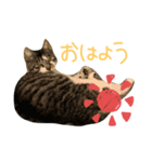 ラムとミト（個別スタンプ：1）