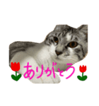 ラムとミト（個別スタンプ：5）