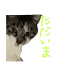 ラムとミト（個別スタンプ：7）