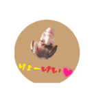 茨保17P改（個別スタンプ：2）