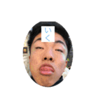 茨保17P改（個別スタンプ：11）
