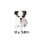 ミックス犬の子犬スタンプ（個別スタンプ：4）