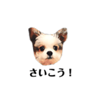ミックス犬の子犬スタンプ（個別スタンプ：5）