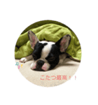 梅子のまったりスタンプ（個別スタンプ：2）
