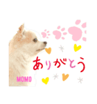 ももちゃんのふわふわスタンプ（個別スタンプ：2）