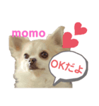ももちゃんのふわふわスタンプ（個別スタンプ：3）