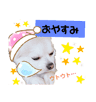 ももちゃんのふわふわスタンプ（個別スタンプ：7）