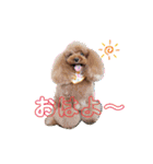 わたしのくまちゃん♡（個別スタンプ：3）